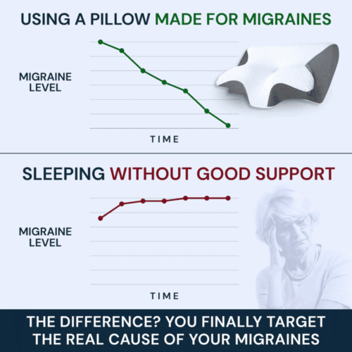 Ornexis Pillow - Official Retailer