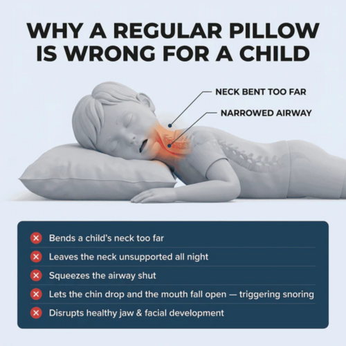 LittleBear Posture Kids Pillow (Official Retailer) [year]
