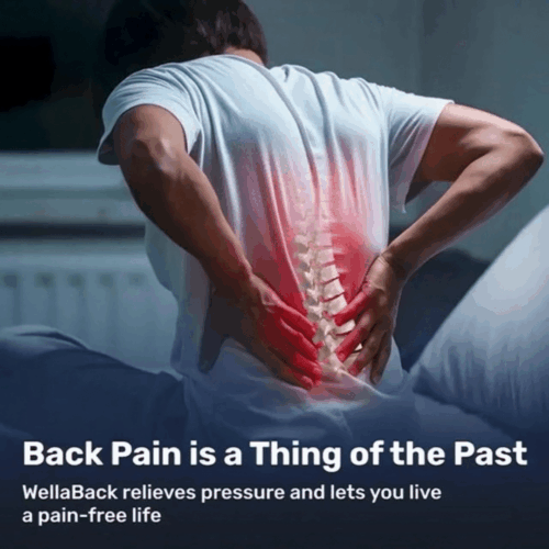WellaBack Back Brace (Official Retailer) [year]