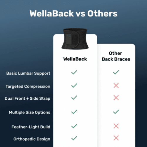 WellaBack Back Brace (Official Retailer) [year]